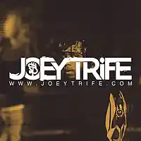 Picture for song 'ORANGE' by artist 'Joey Trife'