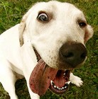 Picture for song 'Lullaby (Original)' by artist 'johnjohn808'