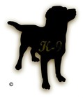 Picture for song 'Mild Love' by artist 'K9 Productions'