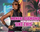 Picture for song 'I Hate Myself' by artist 'kaneridiamond'