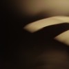 Picture for song 'A Special Request (Harding Mix)' by artist 'kaom'