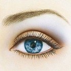 Picture for song 'I still miss someone' by artist 'Keith Chesterton'