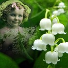 Picture for song 'Lilly' by artist 'Kelton Ree'