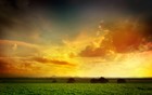 Picture for song '*CHILL* Without a Dream Free DL' by artist 'KMBeatsOfficial'