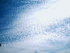 Picture for song 'Full Speed Ahead' by artist 'Kola'