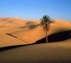 Picture for song 'Arabiga' by artist 'Kuebass'