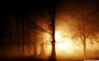 Picture for song 'Roj awa.mp3' by artist 'KurdishMelody'