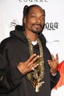 Picture for song 'Lets Rock Snoop Dogg Type of Beat! Free Beats' by artist 'Kwesa'