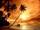 Picture for song 'Roki' by artist 'LA FABRIK'