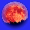 Picture for song 'Moon Jam' by artist 'Larry Ludwick'
