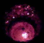 Picture for song 'Somnia' by artist 'Larry Ludwick'