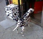 Picture for song 'Tigh Spot' by artist 'Larry Mason'