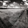 Picture for song 'Which Way Is Away' by artist 'LaughingSkull'