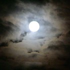 Picture for song 'black tongued and twisted 2' by artist 'lei benders'