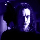 Picture for song '(NEW) RIP Brandon Lee' by artist 'LEXI BANKS'