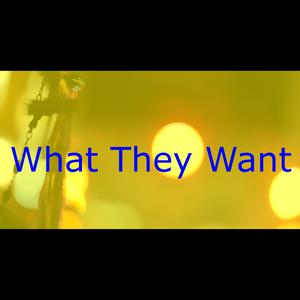 Picture for song 'What they want' by artist 'Lex Looper'