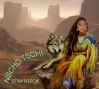 Picture for song 'Nscho Tschi' by artist 'Lonesome Stratgeck'