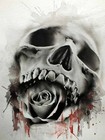 Picture for song 'BassFace2 FreeDownload' by artist 'L R 2 1 O'