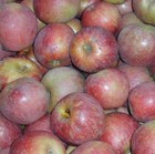 Picture for song 'Wight Wassail' by artist 'Lyle Music'