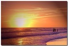 cover pic