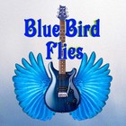 Picture for song 'Blue Bird Flies - Live' by artist 'Mark Guitar Miller'