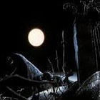 Picture for song 'Nightmare ::FREE DL::' by artist 'Masterpiece Music'