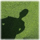 Picture for song 'Pea Race' by artist 'mattwill75'