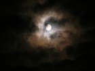 Picture for song 'Suite for Piano and Orchestra n1' by artist 'MaxNegro'
