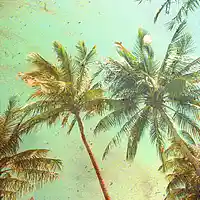 Picture for song 'Cloud Surfin *Chill*' by artist 'MaxSky'