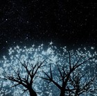 Picture for song 'MC Ryoku, Kidsick & Paige - Fireflies RMX' by artist 'M.C. Ryoku'
