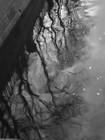 Picture for song 'Two lovers' by artist 'Michael Ogorodov'