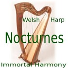 Picture for song 'Harp Nocturne Sonata in 4 Movements' by artist 'Michael Parcell-Davies'