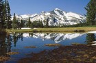 Picture for song 'Alpine Overture' by artist 'Michael Roberts'
