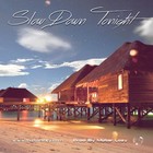 Picture for song 'Slow Down Tonight *Zouk Love R&B*' by artist 'Mister Lazy'