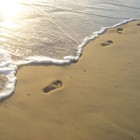 Picture for song 'Straynge Healing' by artist 'Mogus Rougus Esq.'