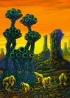 Picture for song 'Dweejikk - Desert Moonzone' by artist 'MoonAliens'