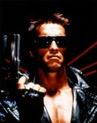 Picture for song 'The Terminator' by artist 'Morten Malvik'