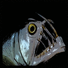 Picture for song 'LO AND BEHOLD' by artist 'MotionGo'