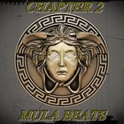 Picture for song 'Never Left' by artist 'Mula Beats (US)'