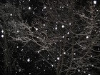 Picture for song 'Unrequited Existence' by artist 'Neo Metric'