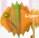 Picture for song 'Liger' by artist 'Neven Dayvid'