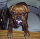 Picture for song 'Really Not Worth It' by artist 'nevermet'