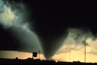 Picture for song '*Tribulations* (ALL BEATS FREE D/L!)' by artist 'New Swol Productions'