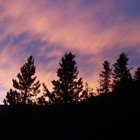 Picture for song 'Blues Under The Moon' by artist 'Nils-Ole Finbak'