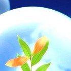 Picture for song 'Burning Sun' by artist 'Nils-Ole Finbak'