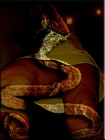 Picture for song 'LOCOS' by artist 'nirmanakaya'