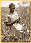 Picture for song 'Pickin Cotton Def_con5 diss' by artist 'Noire Barz'