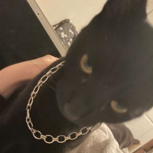 Picture for song 'TOOCA - Nardo Wick x Moneybagg Yo x 808 Mafia' by artist 'nolyrics music group'