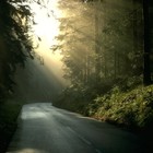 Picture for song 'Morning' by artist 'North Paradise Production'