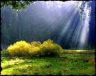 Picture for song 'In The Light ( Tiffany Powell on vocals )' by artist 'O28'